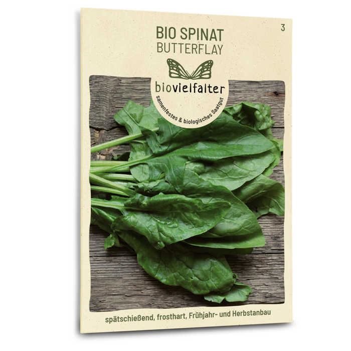 Bio-Spinat 'Butterflay' Samen