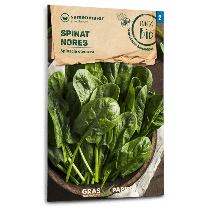 Bio-Spinat 'Nores' Samen