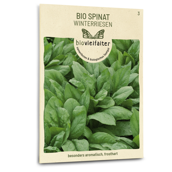 Bio-Spinat 'Winterriesen' Samen