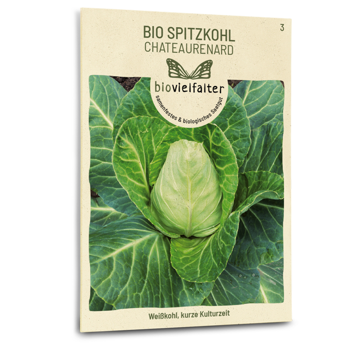 Bio-Spitzkohl 'Chateaurenard' Samen