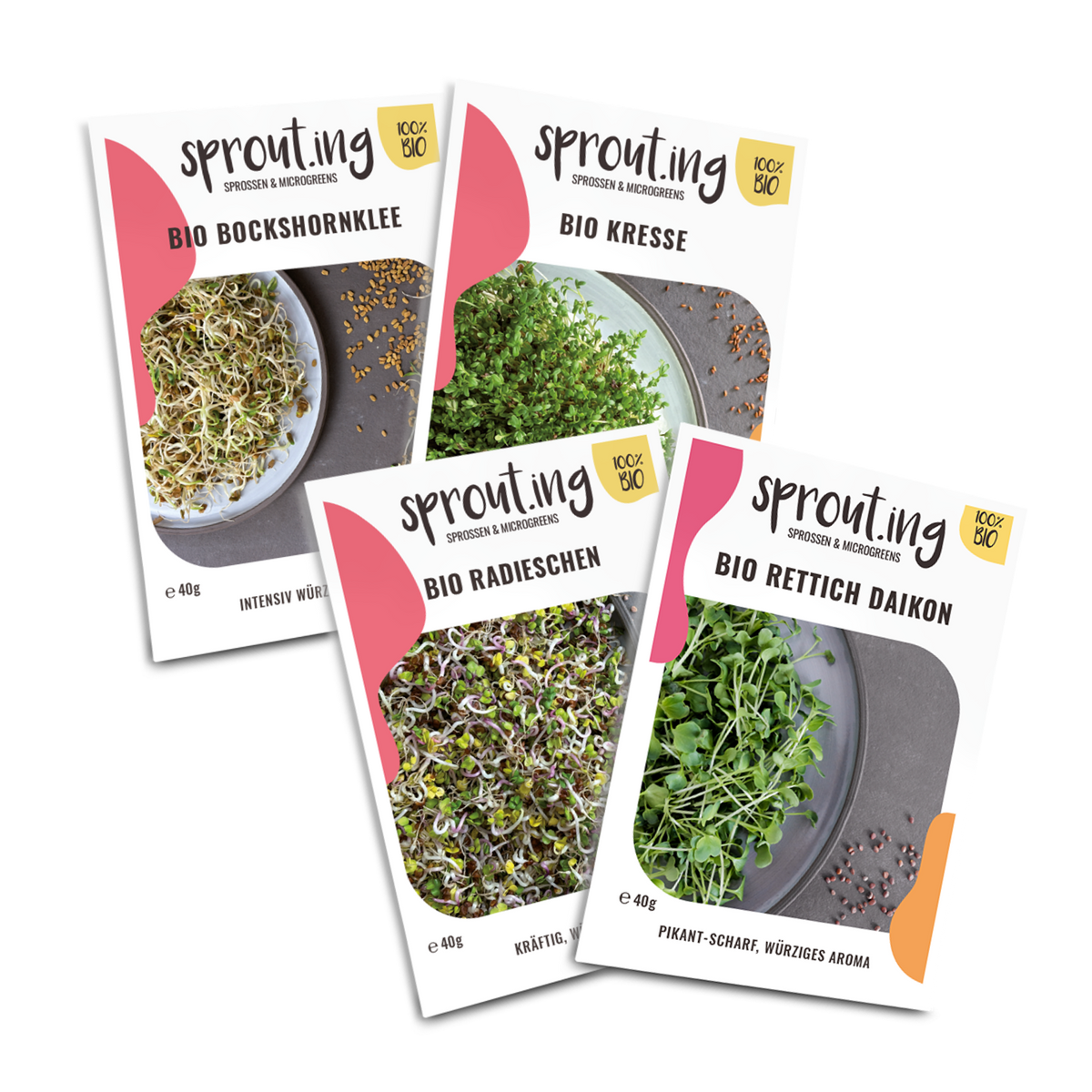 Bio-Sprossen Samen-Set Würzig-Scharf (4 x 40 g)