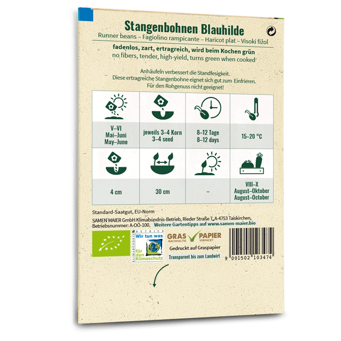 Bio-Stangenbohne 'Blauhilde' Saatgut