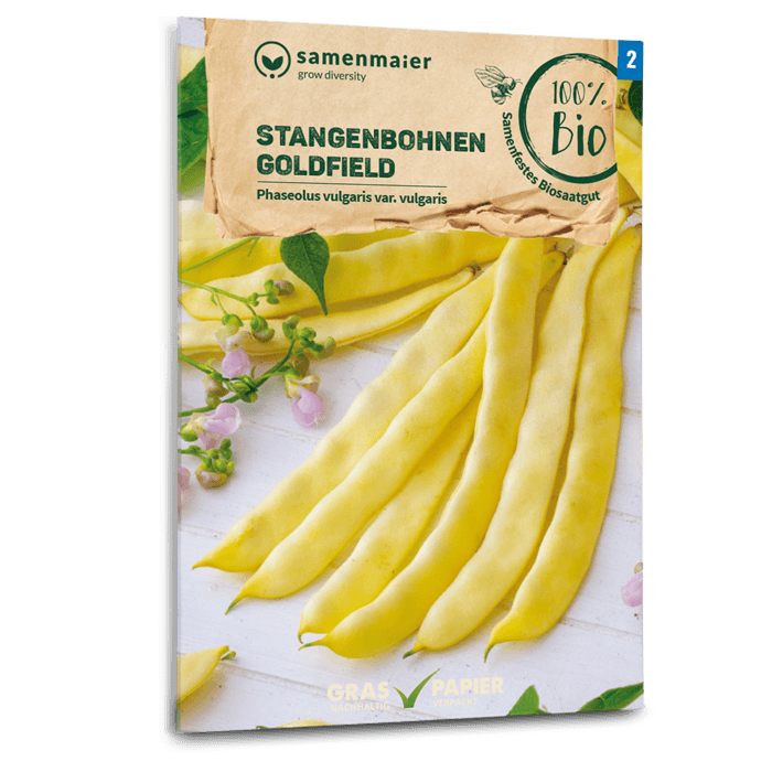Bio-Stangenbohne 'Goldfield' Gelb Samen