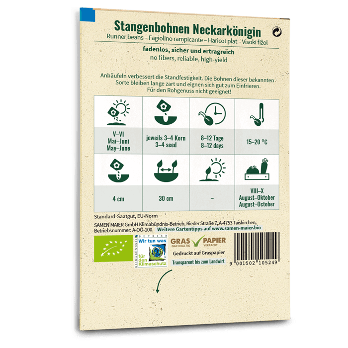 Bio-Stangenbohne 'Neckarkönigin' Grün Saatgut