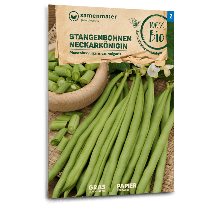 Bio-Stangenbohne 'Neckarkönigin' Grün Samen