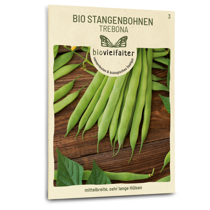 Bio-Stangenbohne 'Trebona' Samen