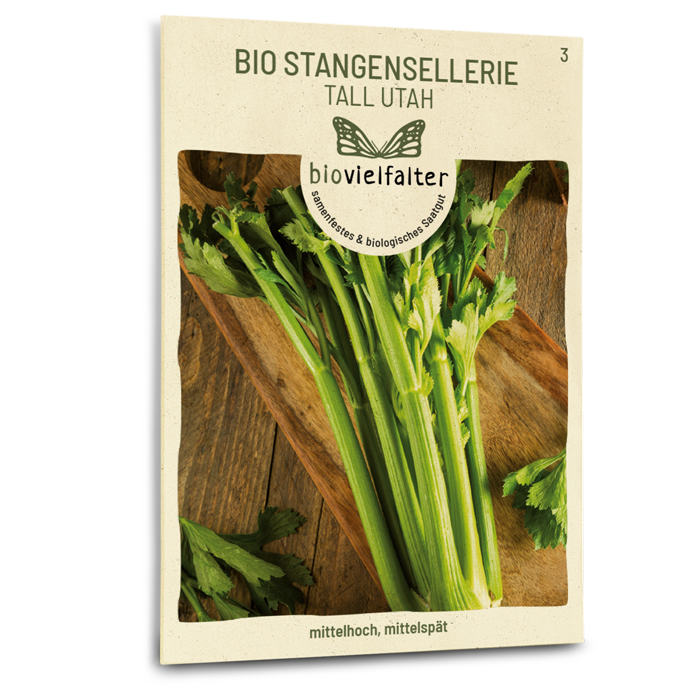 Bio-Stangensellerie 'Tall Utah' Samen