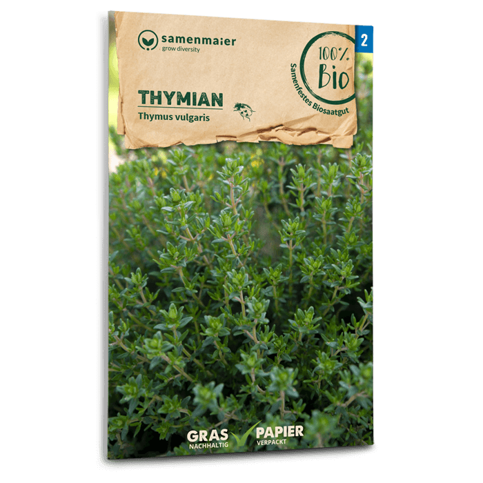 Bio-Thymian Samen