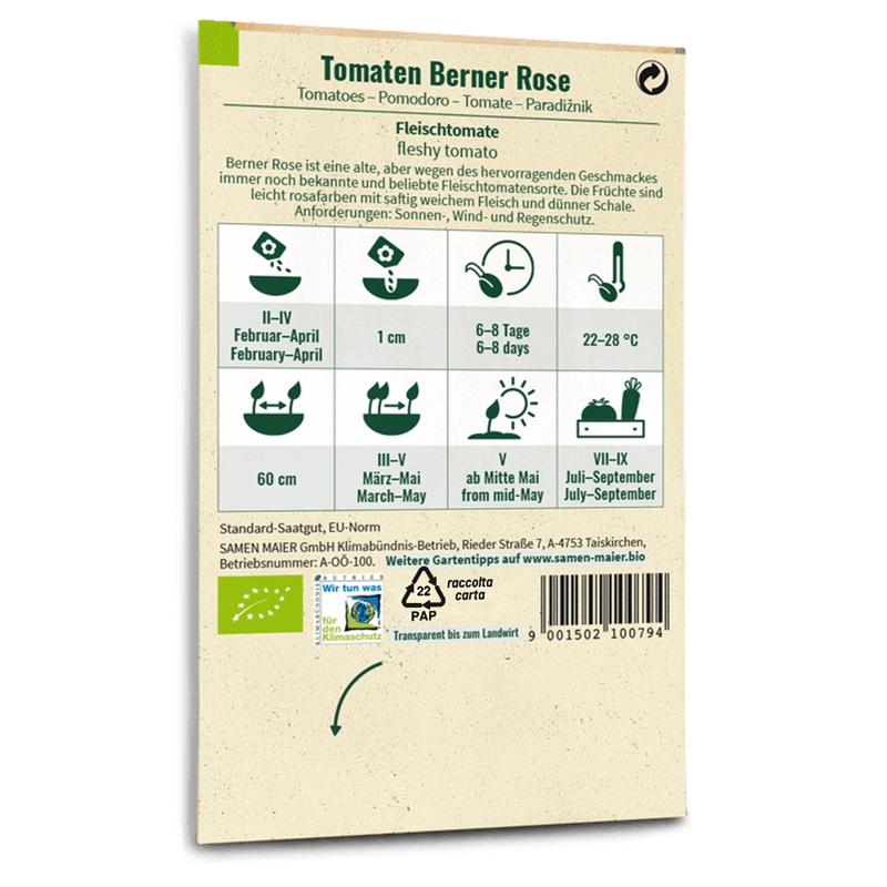 Bio-Tomate 'Berner Rose' Saatgut