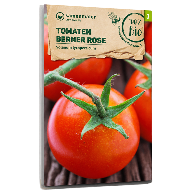 Bio-Tomate 'Berner Rose' Samen