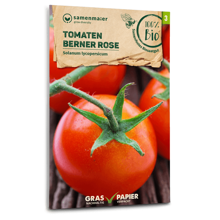 Bio-Tomate 'Berner Rose' Samen