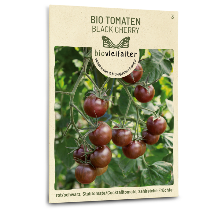 Bio-Tomate 'Black Cherry'