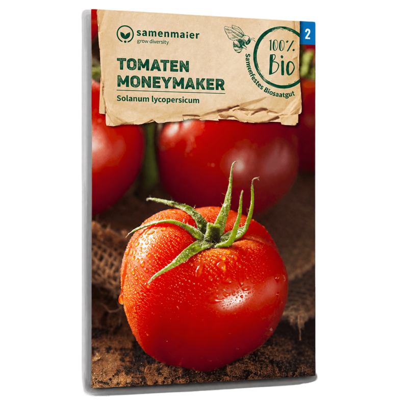 Bio-Tomate 'Moneymaker' Samen