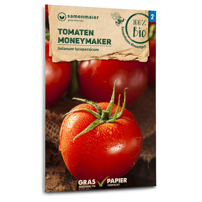 Bio-Tomate 'Moneymaker' Samen