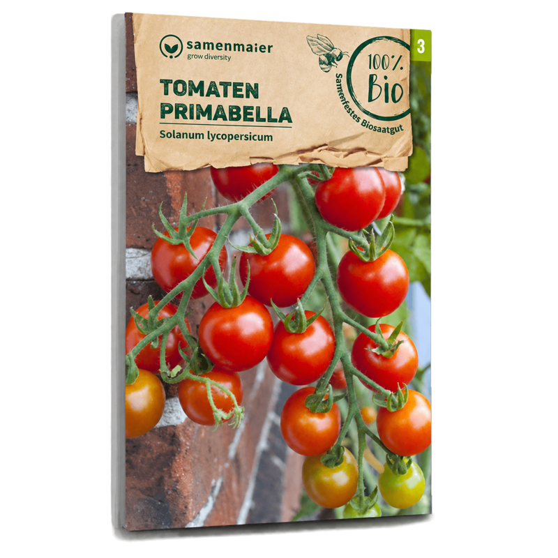 Bio-Tomate 'Primabella' Samen