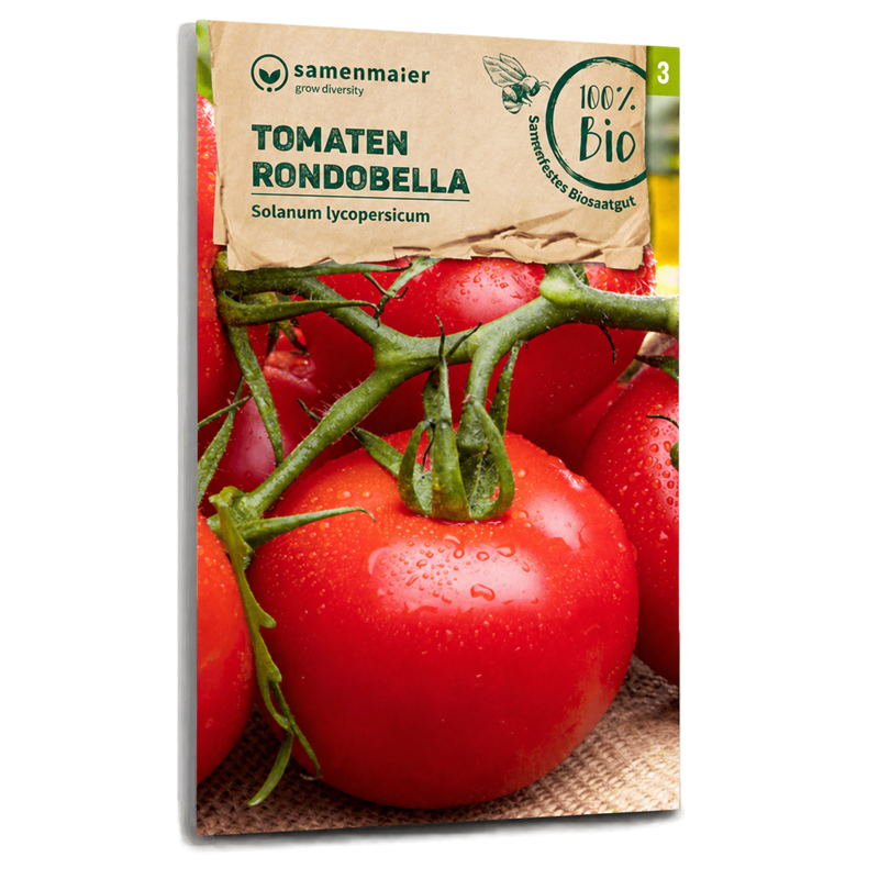 Bella Rondo Bio-Tomate 'Rondobella' kaufen - Plantura Shop