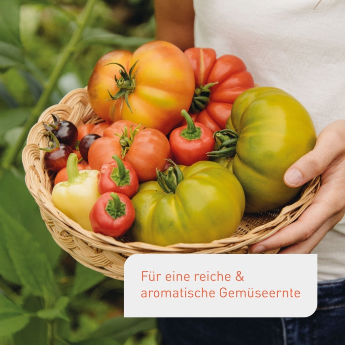 Ergebnis des Plantura Bio-Tomatendüngers