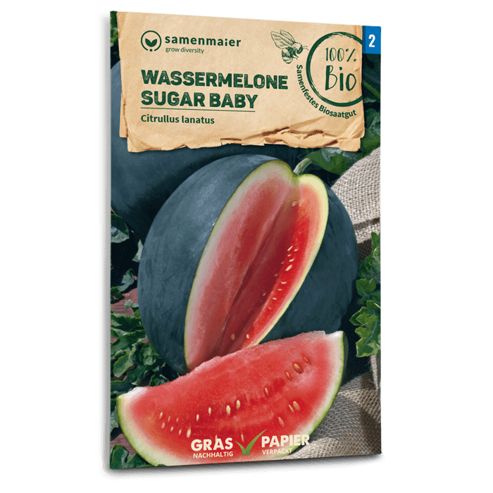 Bio-Wassermelone 'Sugar Baby' Samen
