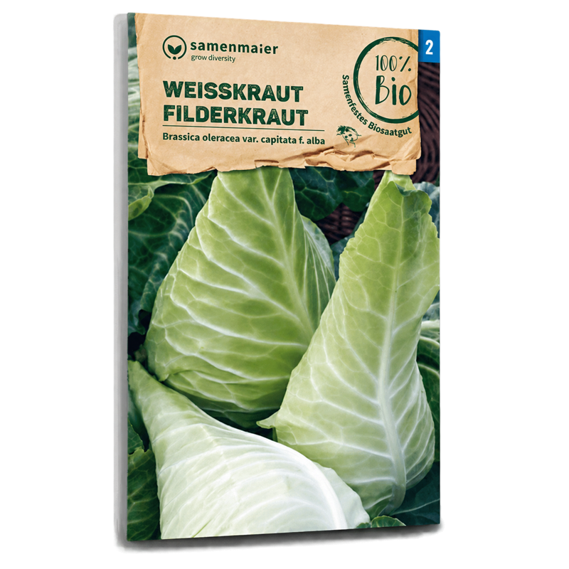 Bio-Weißkohl 'Filderkraut' Spät Samen
