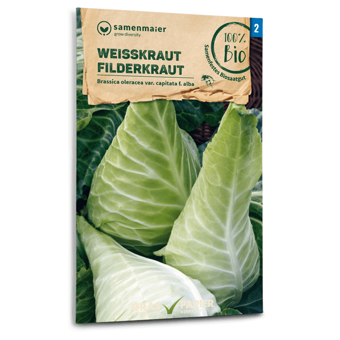 Bio-Weißkohl 'Filderkraut' Spät