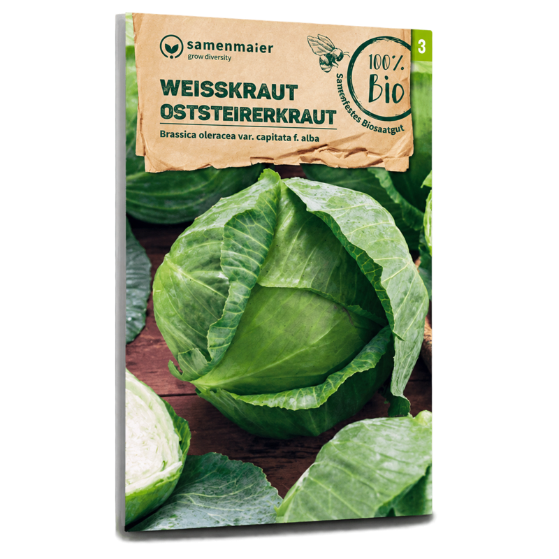 Bio-Weißkohl 'Oststeirerkraut' Samen