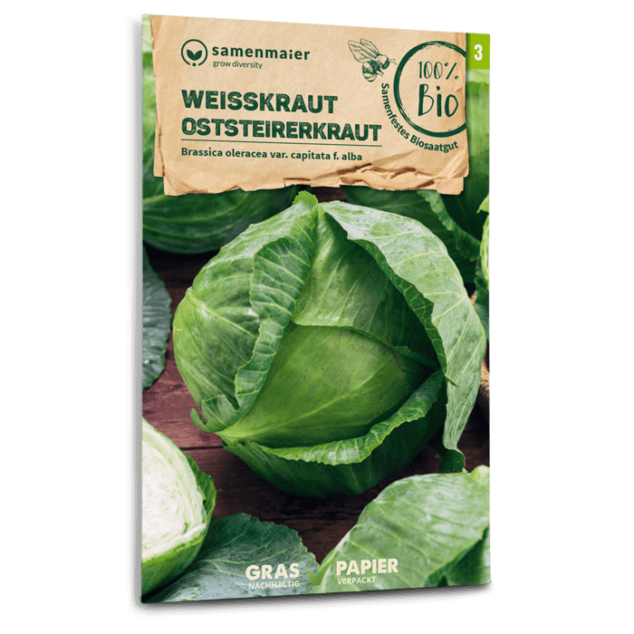 Bio-Weißkohl 'Oststeirerkraut' Samen