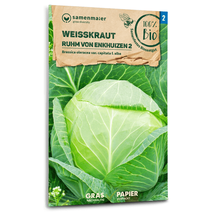 Bio-Weißkohl 'Ruhm von Enkhuizen 2' Samen