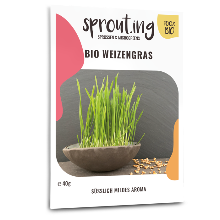 Bio-Weizengras Sprossen Samen