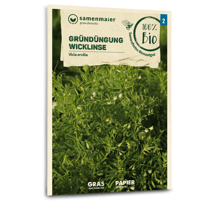 Bio-Wicklinse Gründüngung Samen