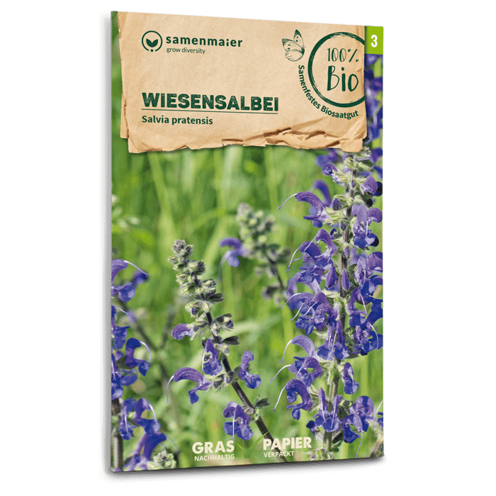 Bio-Wiesensalbei Wildblume Samen