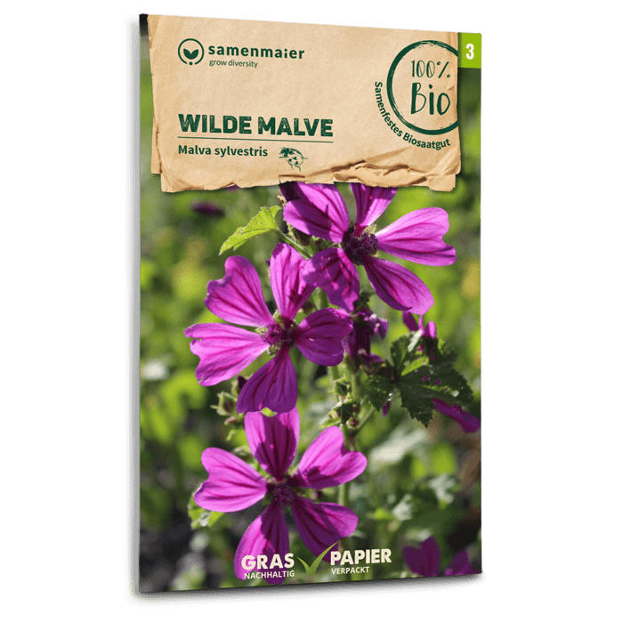 Bio-Wilde Malve Wildblume
