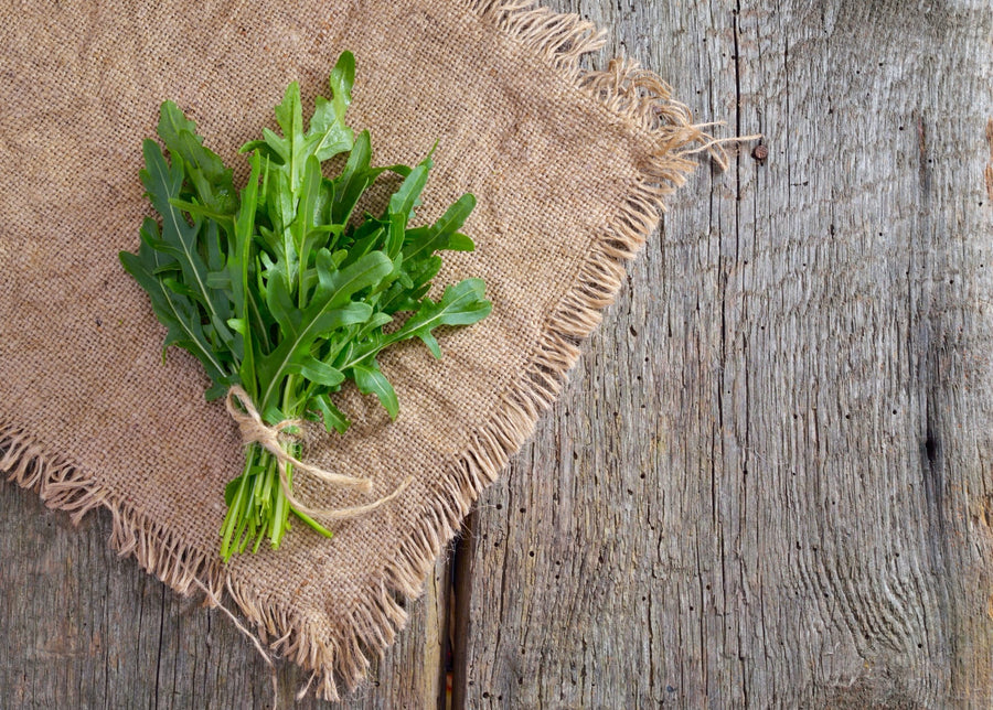 Bio-Wilde Rauke (Rucola-Wildform)-Rucola selvatica