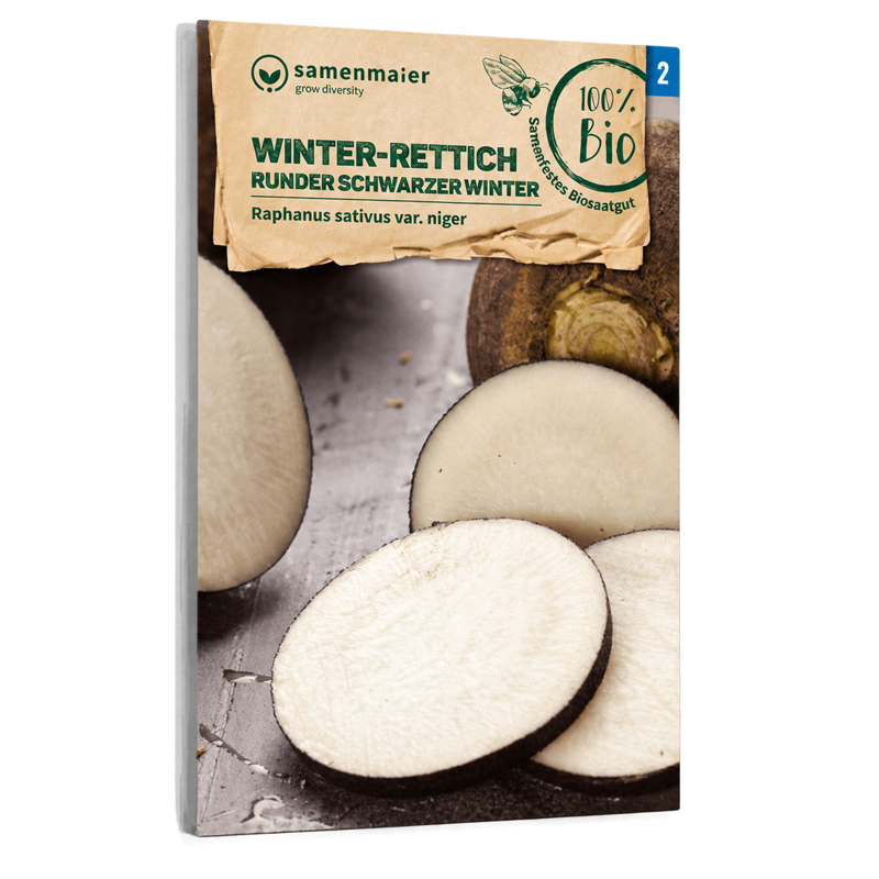 Bio-Winter-Rettich 'Runder schwarzer Winter' Samen