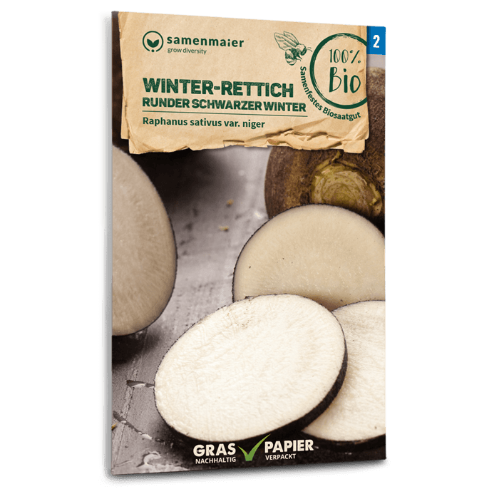 Bio-Winter-Rettich 'Runder schwarzer Winter' Samen