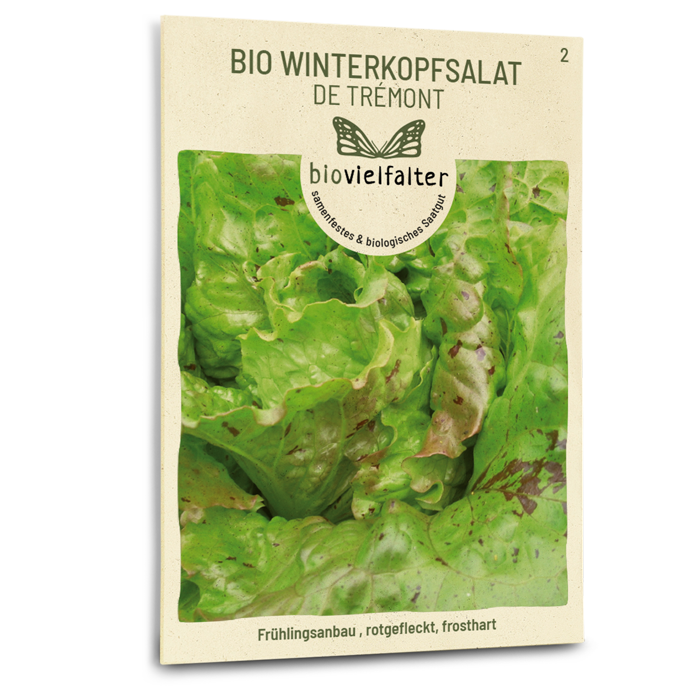 Bio-Winterkopfsalat 'De Trémont' Samen
