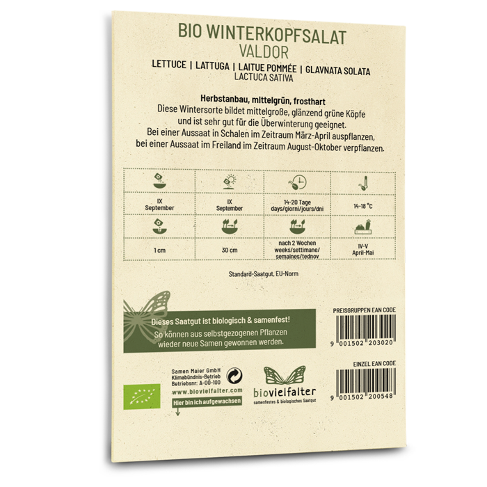 Bio-Winterkopfsalat 'Valdor' Saatgut