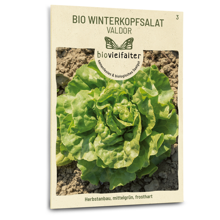 Bio-Winterkopfsalat 'Valdor' Samen