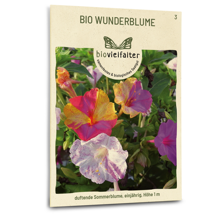 Bio-Wunderblume Samen