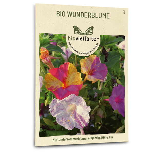 Bio-Wunderblume kaufen