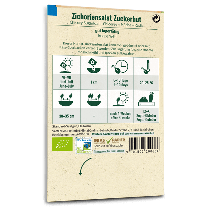 Bio-Zichoriensalat 'Zuckerhut' Saatgut