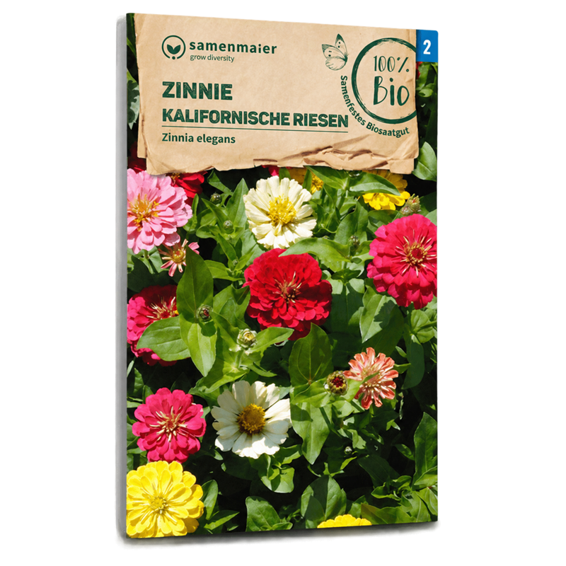 Bio-Zinnie 'Kalifornische Riesen' Mischung Samen