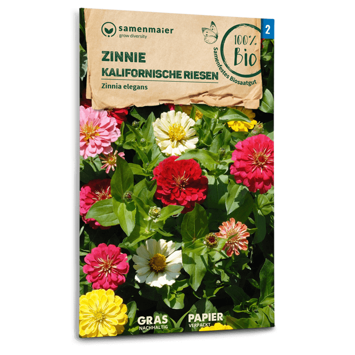 Bio-Zinnie 'Kalifornische Riesen' Mischung Samen