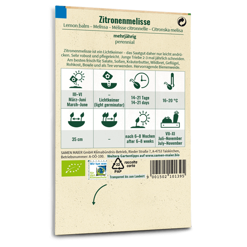 Bio-Zitronenmelisse Saatgut