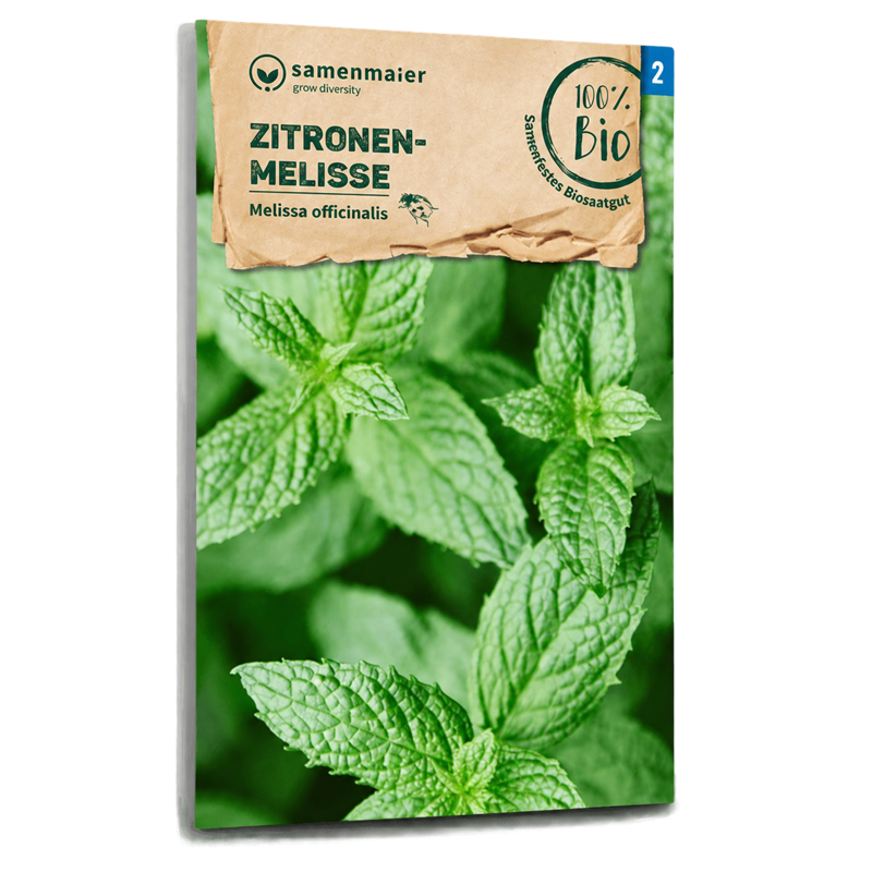 Bio-Zitronenmelisse Samen