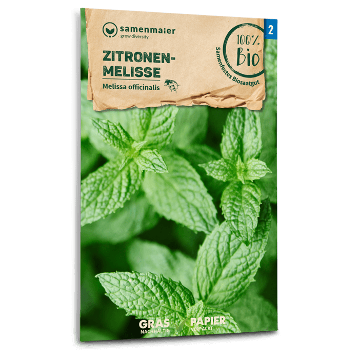 Bio-Zitronenmelisse Samen