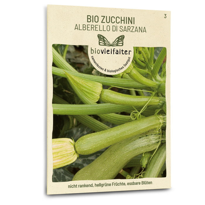 Bio-Zucchini 'Alberello di Sarzana' Samen