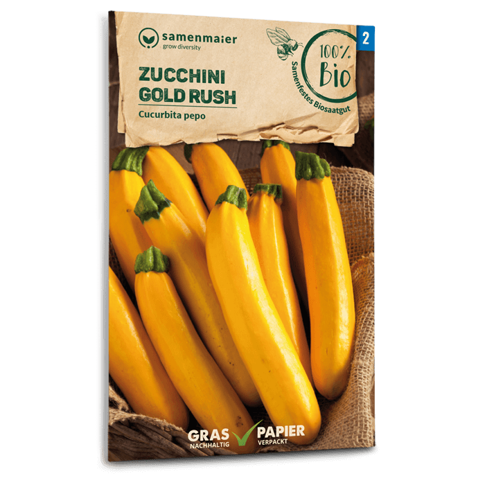 Bio-Zucchini 'Gold Rush' Samen