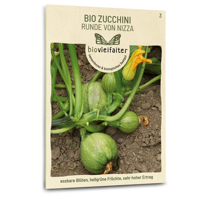 Bio-Zucchini 'Runde von Nizza'