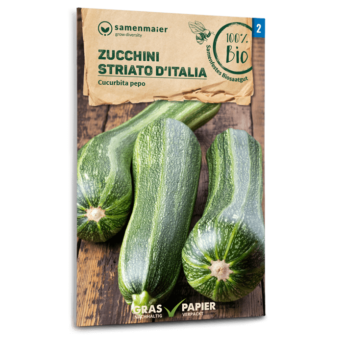 Bio-Zucchini 'Striato d'Italia' Samen