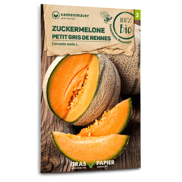 Bio-Zuckermelone 'Petit gris de Rennes'